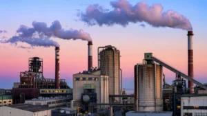 New Yorkers from All Parties Back Stricter Chemical Safety Laws